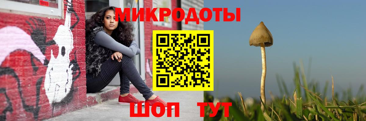 Галлюциногенные грибы ЛСД  Вход с VPN  где найти   Кинель 